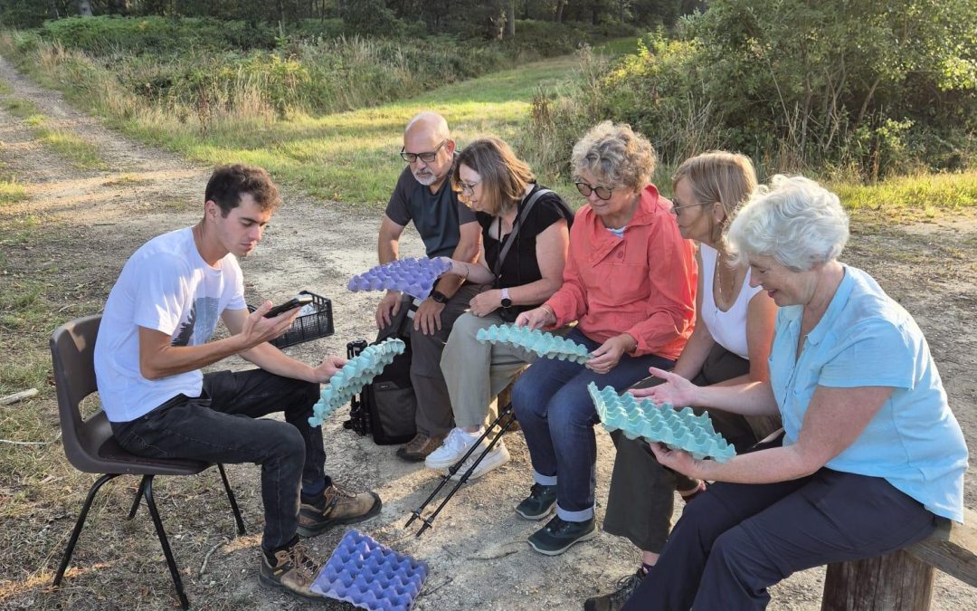 Wild Rutland launches volunteers offering with woodland events